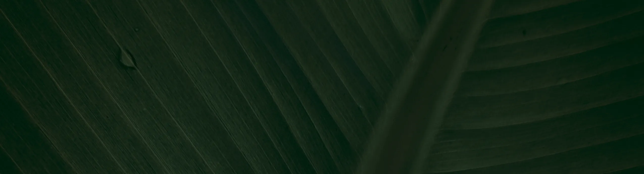 hero-image_optimized ALUMINIUM CUTTING DISK CIRCULAR SAW BLADE